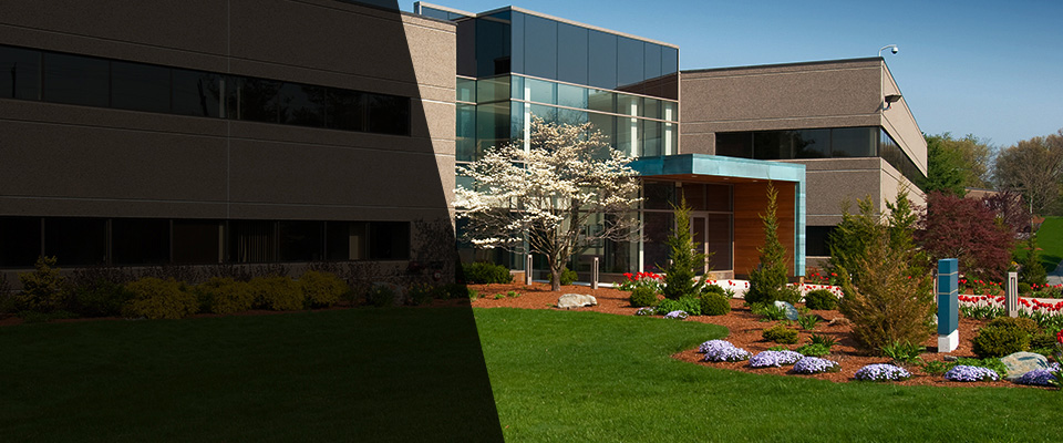 Patchogue Landscapers