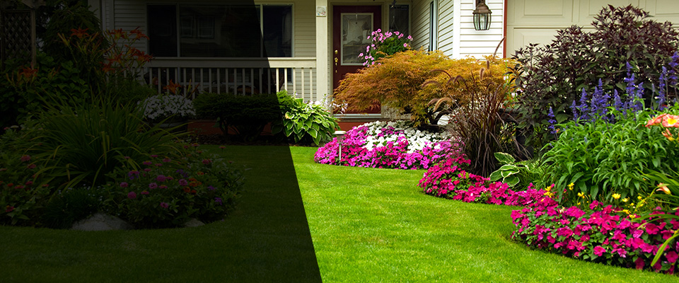 Patchogue Landscapers
