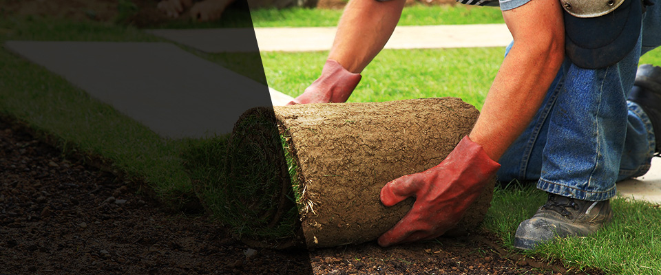 Patchogue Landscapers